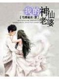 我的神仙老婆小说封面