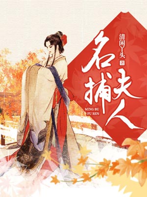 名捕夫人小说封面