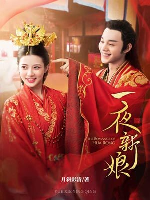 一夜新娘小说封面