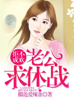 老公，求休战小说封面