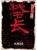 秘书长3·大结局小说封面