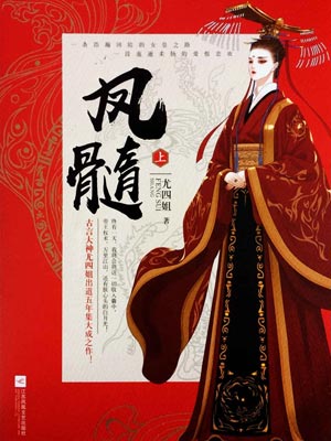 凤髓（上）小说封面