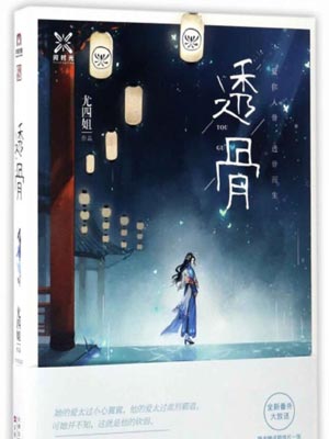 透骨小说封面