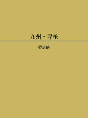 九州：寻枪小说封面