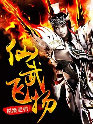 仙武飞扬小说封面
