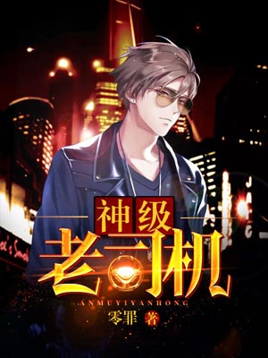 神级老司机小说封面