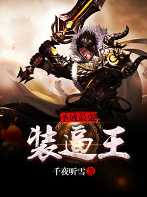 圣域最强装逼王小说封面