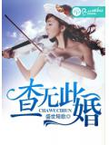 查无此婚小说封面