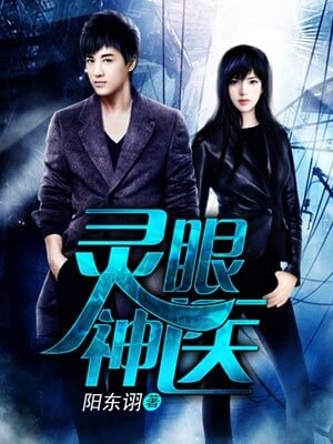 灵眼神医小说封面