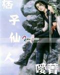 痞子仙人小说封面