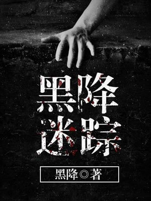 黑降迷踪小说封面