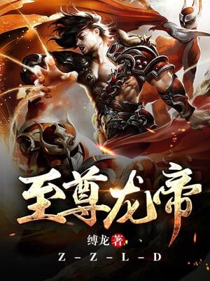 至尊龙帝小说封面