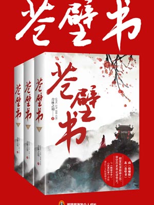 苍壁书小说封面