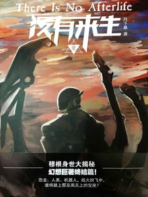 没有来生小说封面