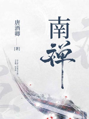 南禅小说封面