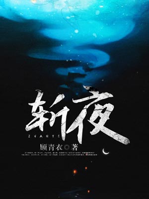 斩夜小说封面