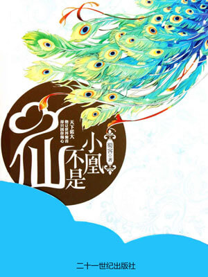 小凰不是仙小说封面