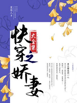 快穿之娇妻小说封面