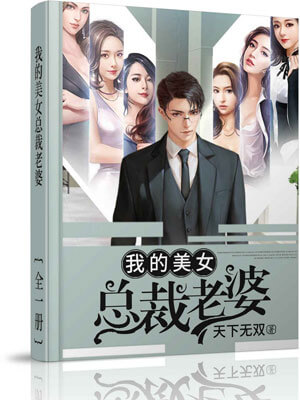 我的美女总裁老婆小说封面