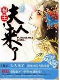 阁主,夫人来了小说封面