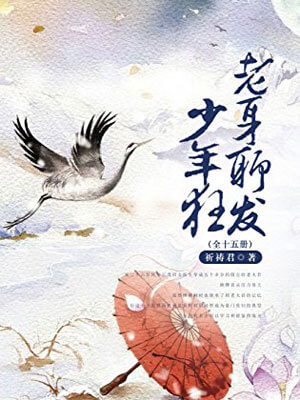 老身聊发少年狂小说封面