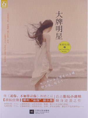 大牌明星小说封面