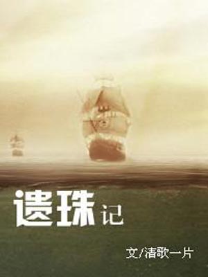 遗珠记小说封面