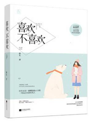 喜欢不喜欢小说封面