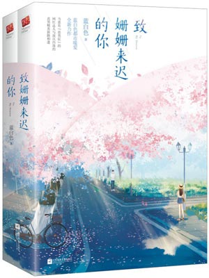 致姗姗来迟的你小说封面