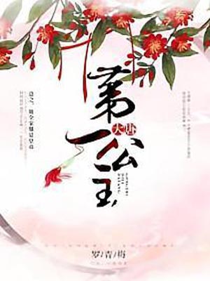 大唐第一公主小说封面