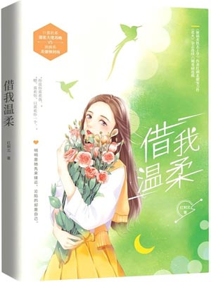 借我温柔小说封面