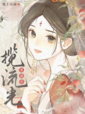 揽流光小说封面