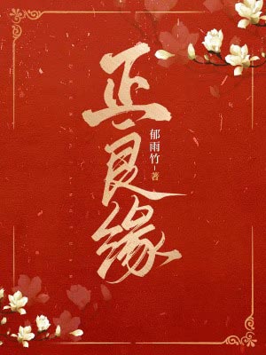 正良缘小说封面