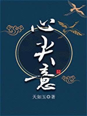 心尖意小说封面