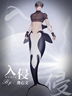 入侵[向哨]小说封面