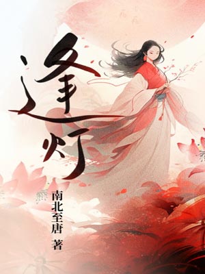 逢灯小说封面