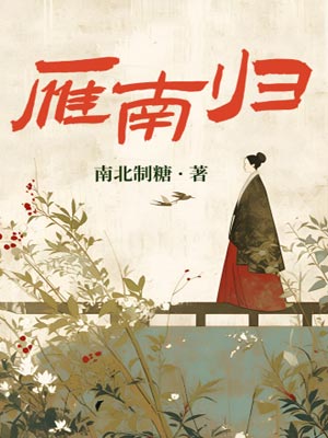 雁南归小说封面