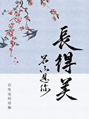 若不是你长得美小说封面