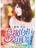 总裁的拒爱前妻
