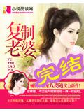 复制老婆小说封面