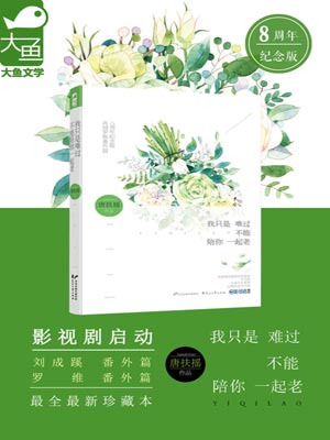 我只是难过不能陪你一起老小说封面