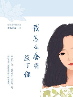 我怎么舍得放下你小说封面