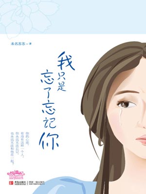 我只是忘了忘记你小说封面