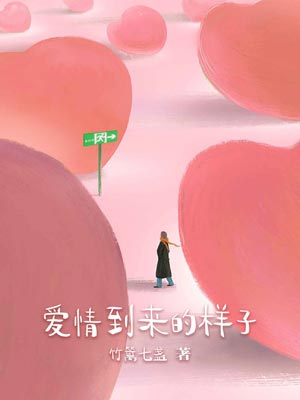 爱情到来的样子小说封面