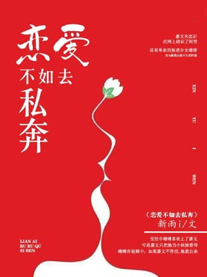 恋爱不如去私奔小说封面