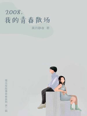 2008，我的青春散场小说封面