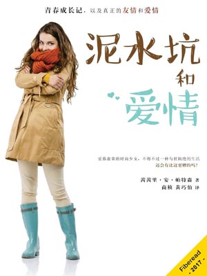 泥水坑和爱情小说封面