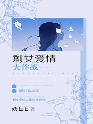 剩女爱情大作战小说封面