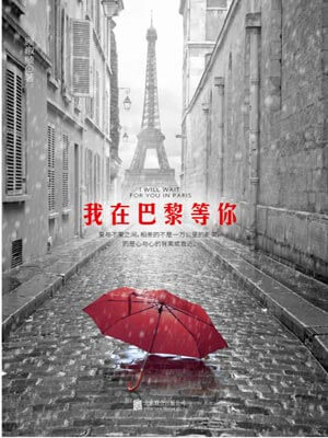 我在巴黎等你小说封面