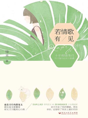 若情歌有见小说封面